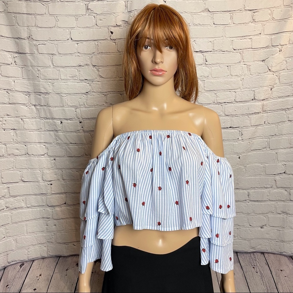 NWT New Olivaceous Off Shoulder Crop Top Striped Embroidered Roses Size L
